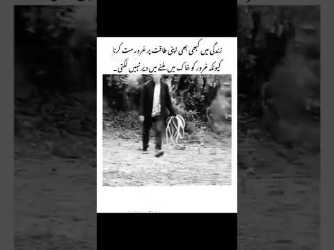 Beshak || Respect ❤️ #hearttouching #trend #duet #zakirnaik #videos #youtubeshorts #shortvideo #duet