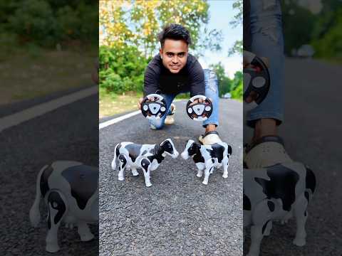 Big size 2 ta Remote control cow 🐄 unboxing Dekho 😜