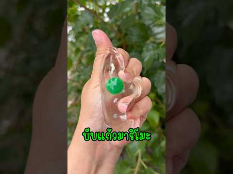 แก้วมาริโมะ แม่มี่DIYทาบะสกุชชี่เจลใสตู้ปลามาริโมะ #Art silicone jelly
