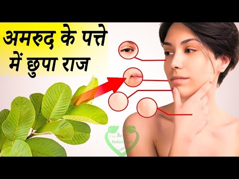 3 दिन लगातार खाली पेट अमरुद 2 पत्ते खालो जड़ से समाप्त हो जायेंगे 7 रोग इतने फायदे के सोचेंगे भी नही