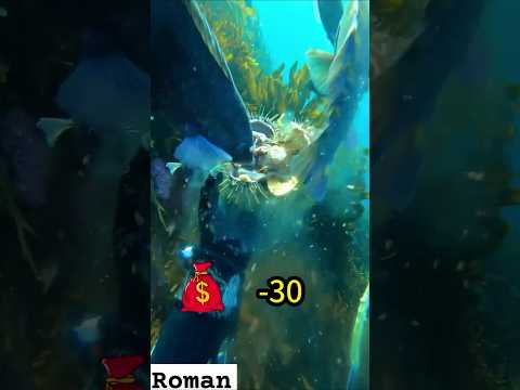 I feed meal the fishes, lobster catching, Catching seafood, mukbang, #fishing #seafood #shorts