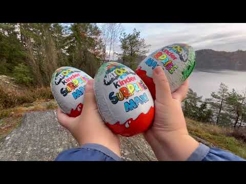 Kinder surprise maxi chocolate eggs Natoons 2024