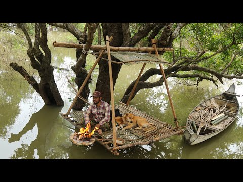 Bushcraft With Dogs - Build Survival Tiny Shelter - Off Grid Shelter - Camp Cooking