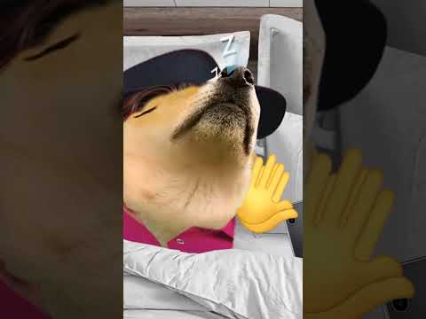 Se me metió un vagabundo a la casa. Inspiración @untalfredo