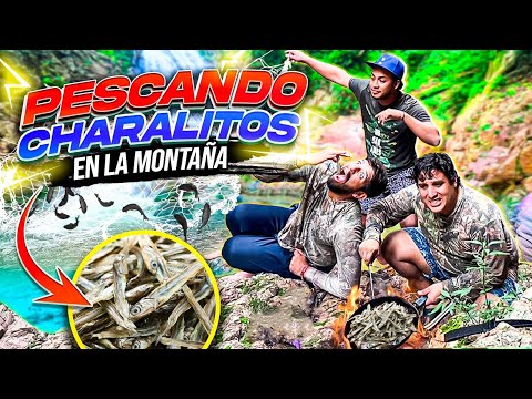 PESCANDO CHARALITOS EN LA MONTAÑA CON EL DOSME | que tanto agarramos ?