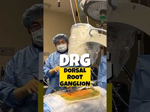 Dorsal Root Ganglion (DRG): Mosh Pit of Sensation