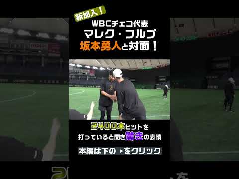 新加入 マレク・フルプ！坂本勇人と対面、ヒットの数に固まる #shorts