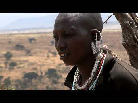 Orion Video&Film Production