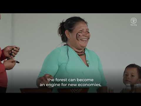 YouTube video thumbnail: Life History of Sustainable Forest Management in Ecuador