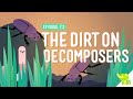 Understanding Decomposers and Food Chains