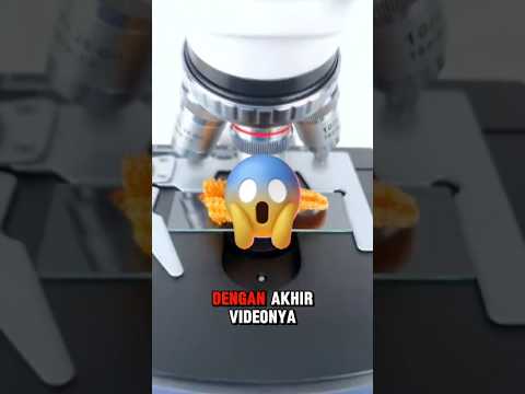 Ada apa itu didalam bintang laut!?🤯 #shorts #shortvideo #microscope