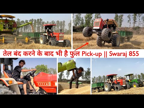 आसमान में बाज और खेत में स्वराज || Mostly Work Complet || @nishu_deshwal || Nishu Deshwal