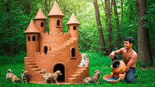 I Built a Clay Castle for Rescue Puppies – Their Reactions Are Priceless!