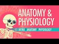 Exploring the Foundations of Anatomy and Physiology