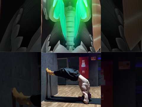 Одно движение - и тело расправится🔥 #fitness #спорт #мотивация #тренеронлайн #sports #мобильность