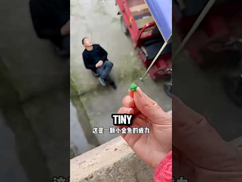 Woke Jack with a Tiny Noise Maker and His Reaction Was Hilarious