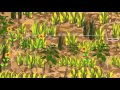 Plant Population Study Methods