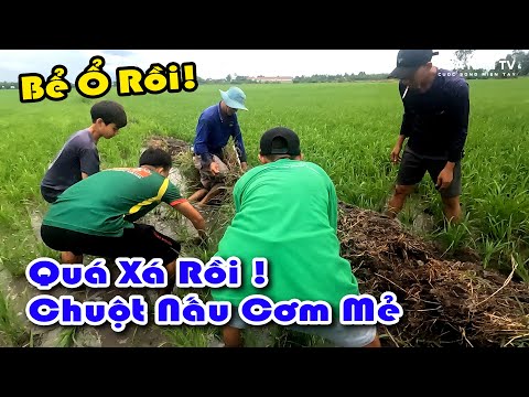 Bắt Chuột Miền Tây Vui Như Hội, Bể Ổ Chạy Như Gà, Cá Nướng Mọi, Chuột Nấu Mẻ Lai Rai/NGÃ NĂM TV