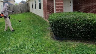 Lawn Mowing ▶15