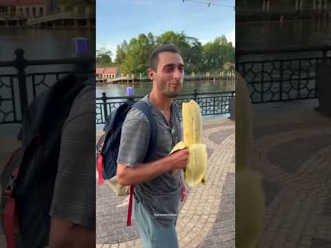 World's biggest Banana #shorts