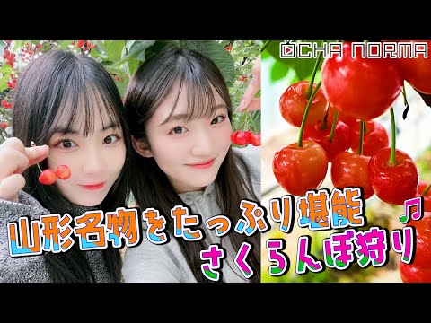 [#Ochauke] Yamagata Part 1 Nishizaki Miku ​​and Nakayama Natsume enjoy Yamagata's Specialties! Cherry Picking♬