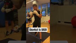 Shavkat is back in training #shorts #ufc