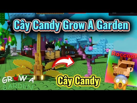 Cây Candy Grow A Garden