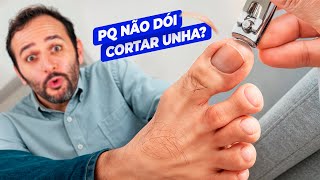 JÁ VIU uma UNHA no MICROSCÓPIO?
