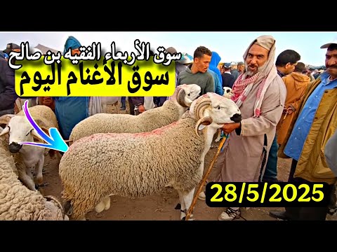 مباشرة من سوق الأربعاء الفقيه بن صالح الحولي والحولية والنعجة تاريخ 28/5/2025 مع الأثمنة 🐑🐏🇲🇦