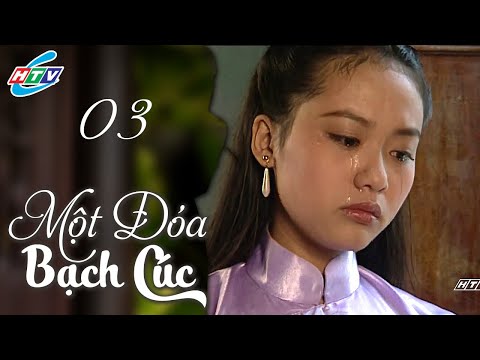 Một Đóa Bạch Cúc  - Tập 3 | HTV Phim Tình Cảm Việt Nam