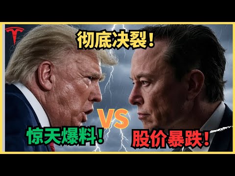 分手！伴君如伴虎，鸟尽弓藏兔狗烹，马斯克进退两难，特斯拉冰火两重天