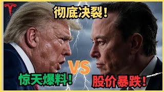分手！伴君如伴虎，鸟尽弓藏兔狗烹，马斯克进退两难，特斯拉冰火两重天