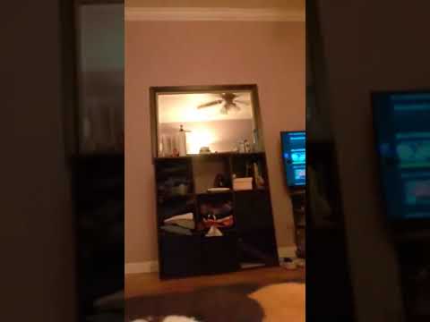 Twerking for you guys ;)