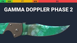 Falchion Knife Gamma Doppler Phase 2 Wear Preview video