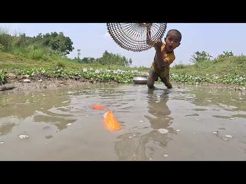 Fish Video|Amazing Small Boy Polo Fishing Video|Traditional Village Fishing|