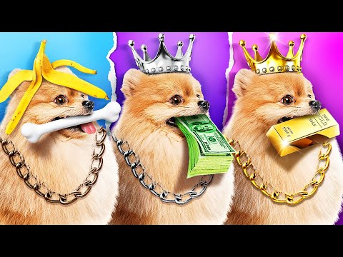 MASCOTAS POBRES vs RICAS vs GIGA RICAS 🐾 ¡Cuarto Secreto para Perros! Dispositivos por 123 GO SCHOOL