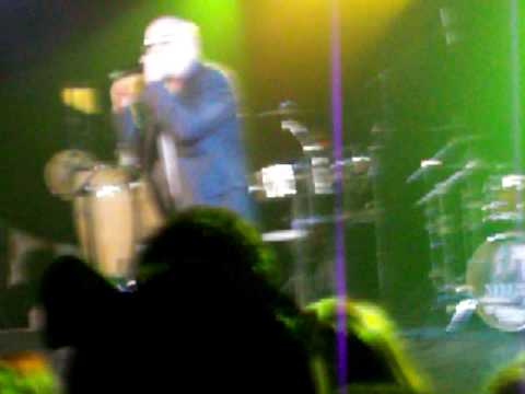 Pitbull Punches Fan!