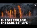 Early Life and Biogenic Carbon