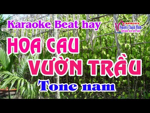 Karaoke HOA CAU VƯỜN TRẦU – TONE NAM