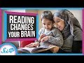 Understanding the Visual Word Form Area and Reading