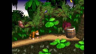 Donkey Kong Country