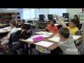 Animal Behavior and Learning Observations