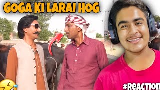 Goga Pasroori Kama😂 | Saleem Albela as Chaudary | Goga Pakistani Comedy