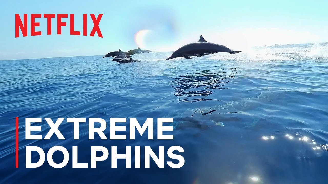 Our Oceans Trailer thumbnail