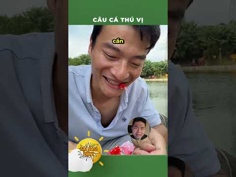 Câu cá hài phết