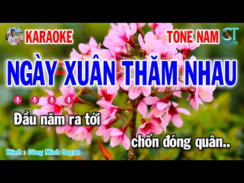 Karaoke Ngày Xuân Thăm Nhau Tone Nam Nhạc Sống 2025