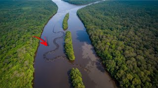 Amazon Rainforest Mysteries| amazon forest | amazon jungle