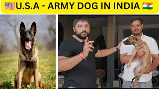 अमेरिका से भारत में लाए विदेशी कुत्तों की नस्लें 🇺🇲 | Belgian Malinois Dog Breed . @SANDHUAGROFARM 