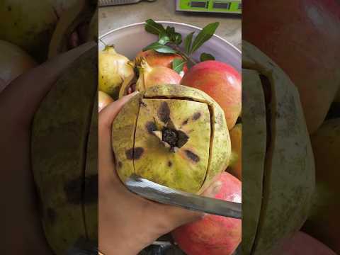 The right way to cut a pomegranate. #shorts