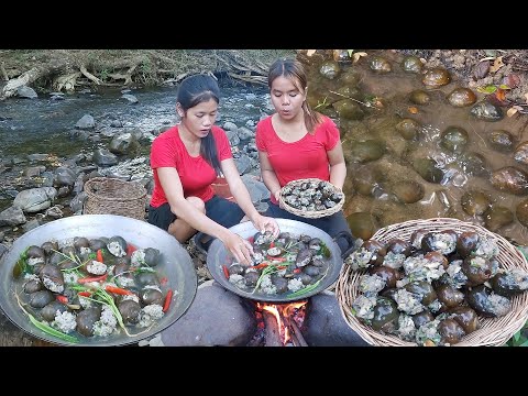 Survival in the rainforest. Snails soup chili tasty with pork, Eating delicious, Survival cooking